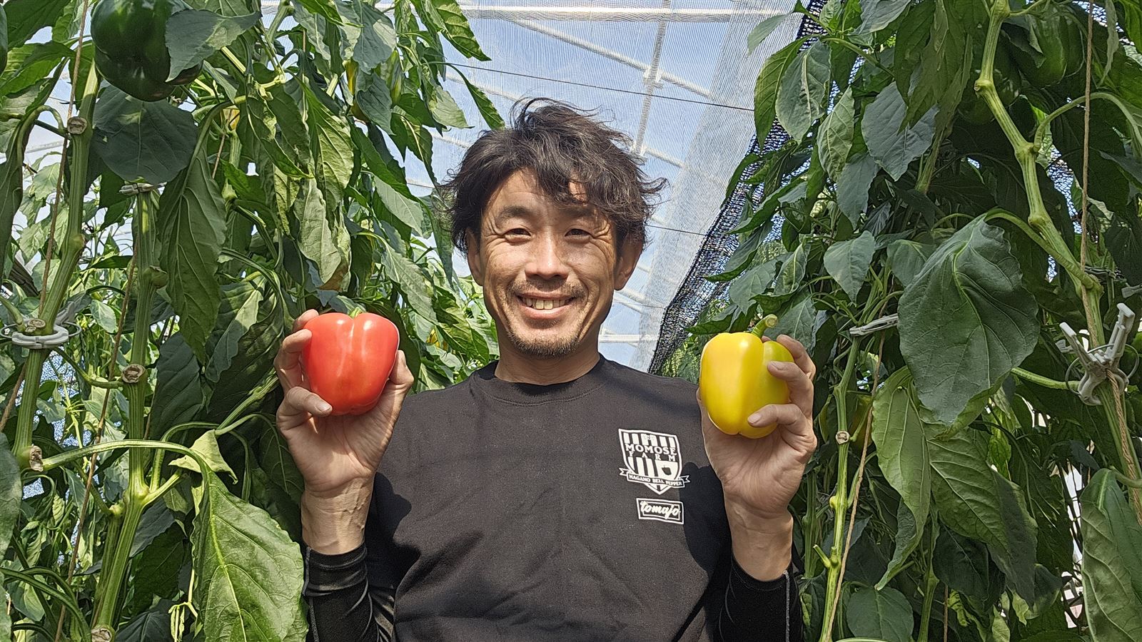 パプリカを手にする園主・百瀬高志